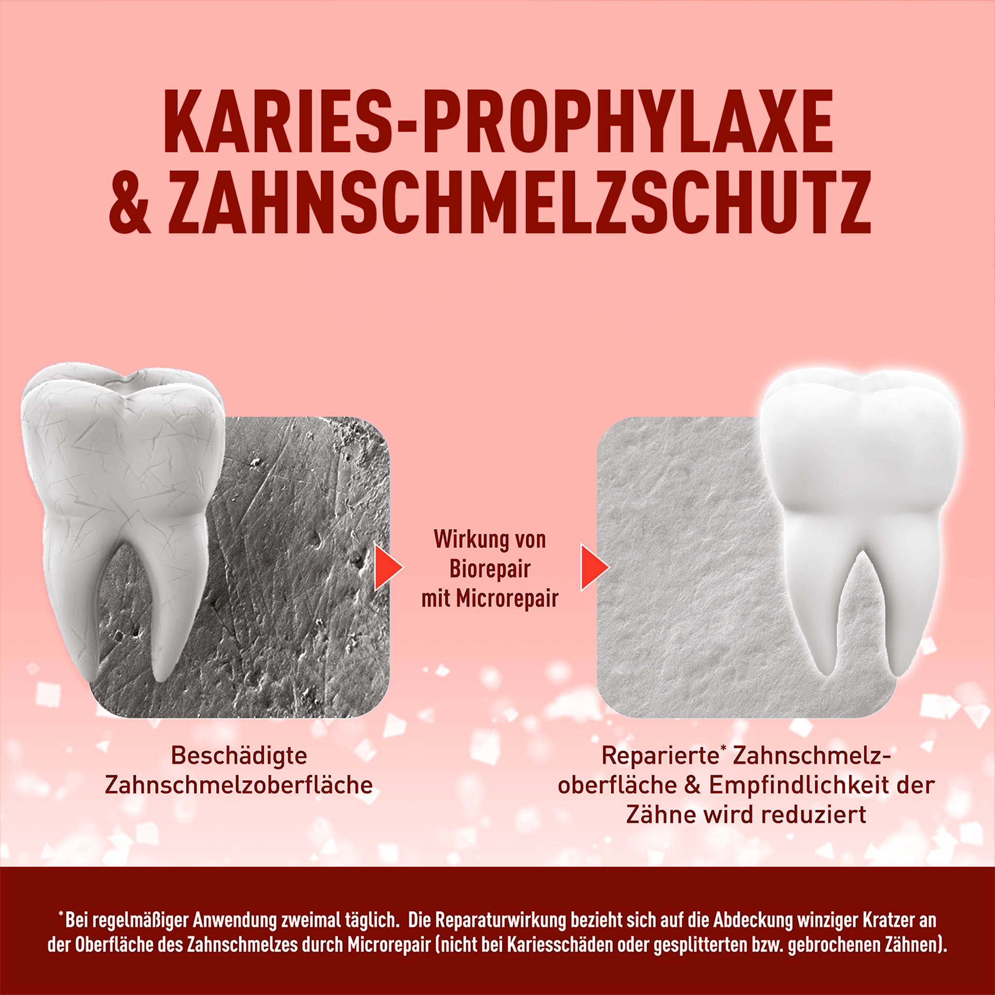Zwei Zähne mit zugehöriger Nahaufnahme und Schrift auf hellrotem Grund und dunkelrotem Balken mit Schrift am unteren Rand