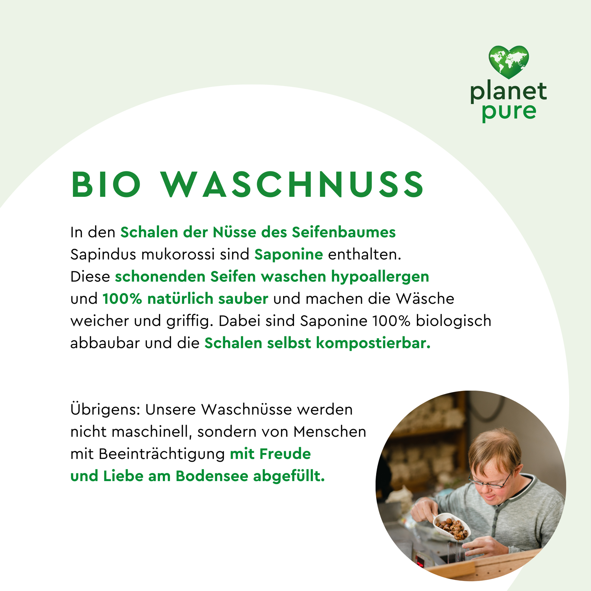 Schrift im weißen Kreis auf mintfarbenem Grund