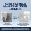 Zwei Zähne mit Nahaufnahme und Schrift auf blauem Grund und Balken