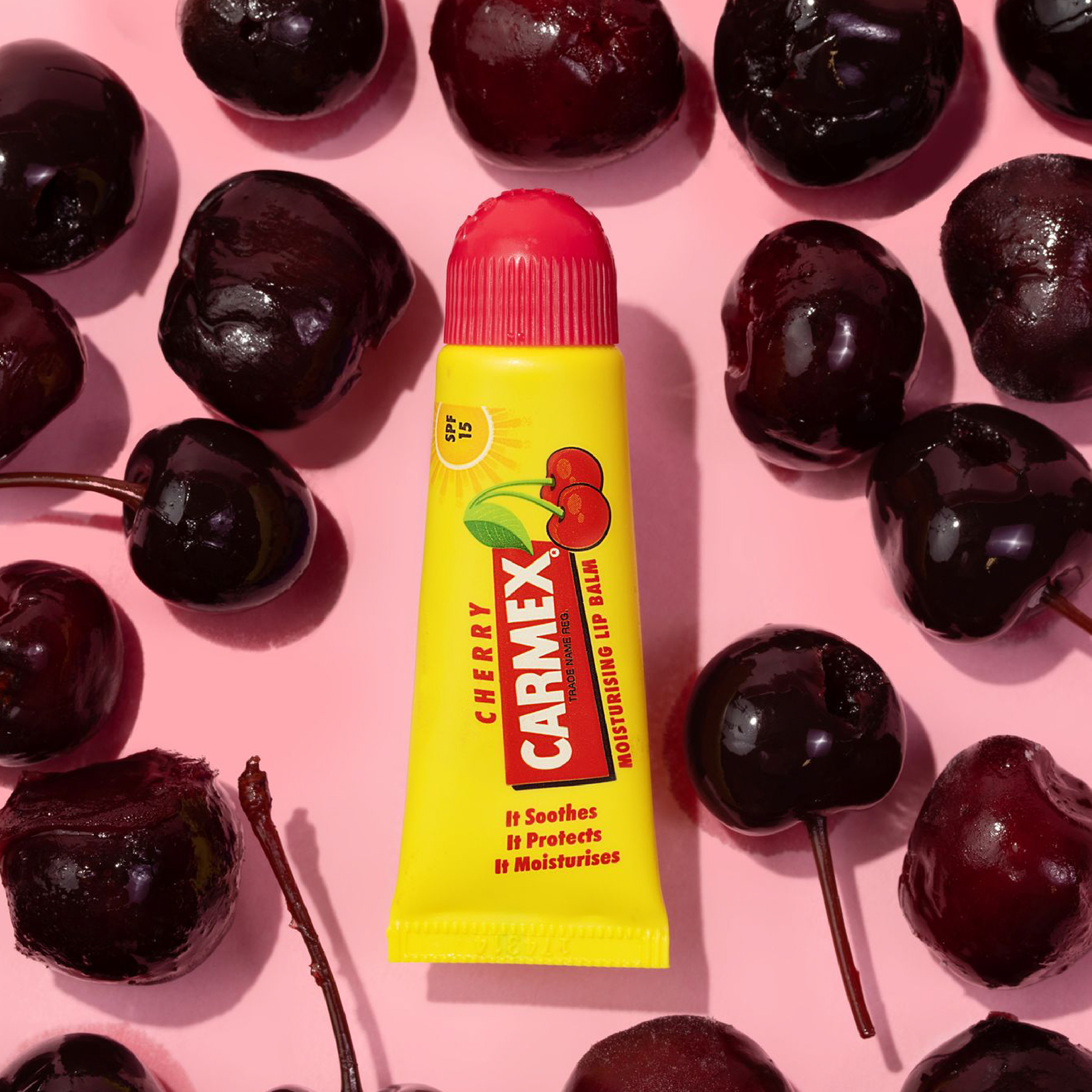 Carmex Cherry Tube auf rosafarbenen Hintergrund und Kirschen drumherum