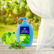 Felce Azzurra Flüssigseife Antibacterial Mint&Lime auf Fensterbrett mit Limetten und wehender Gardine
