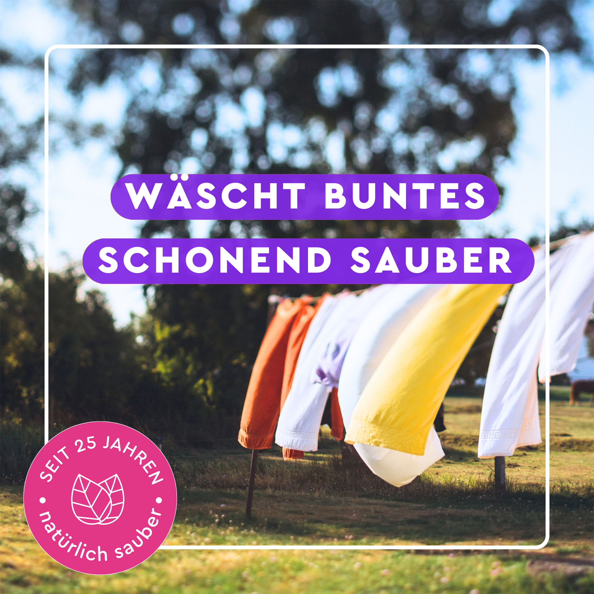 Wäsche wehend im Wind unter weißem Rahmen und Schrift auf lilafarbenen Balken