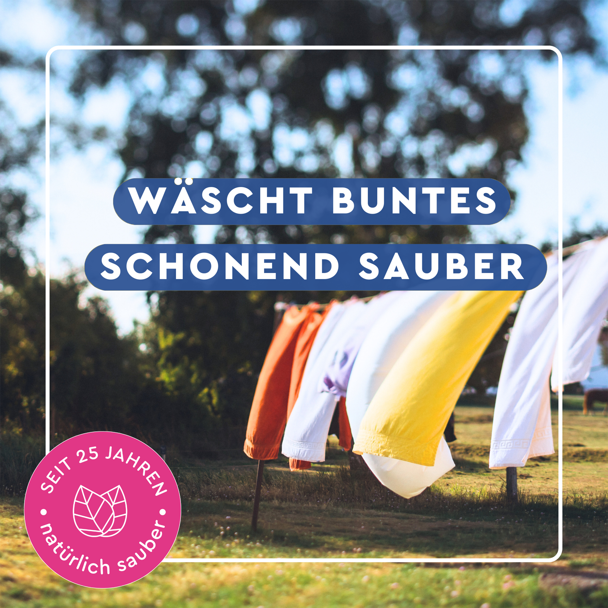 Wäsche wehend im Wind unter weißem Rahmen und Schrift auf blauen Balken