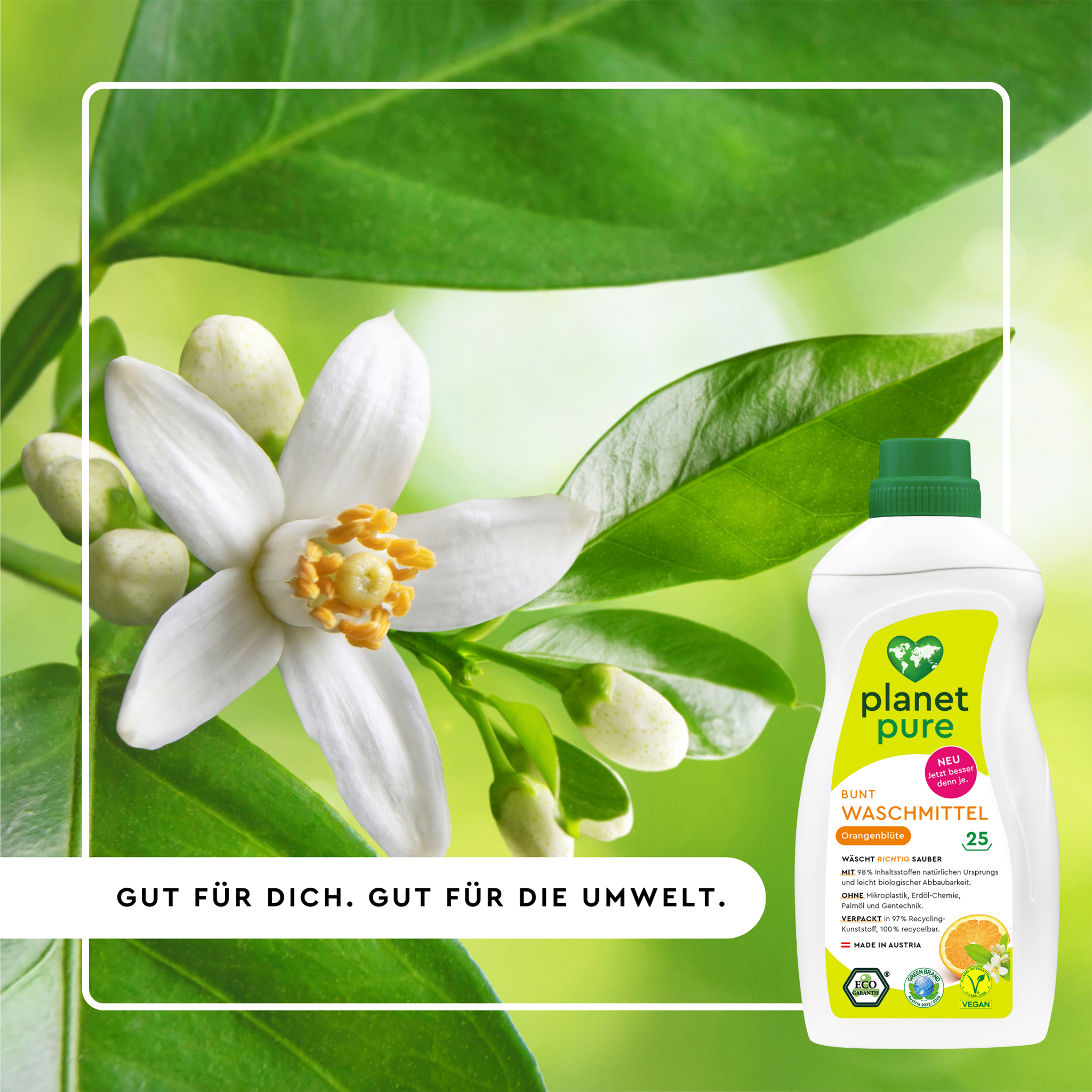 Weiße Blume mit grünen Blättern und weißem Rahmen und Vorderseite von Planet Pure Bunt Waschmittel Orangenblüte