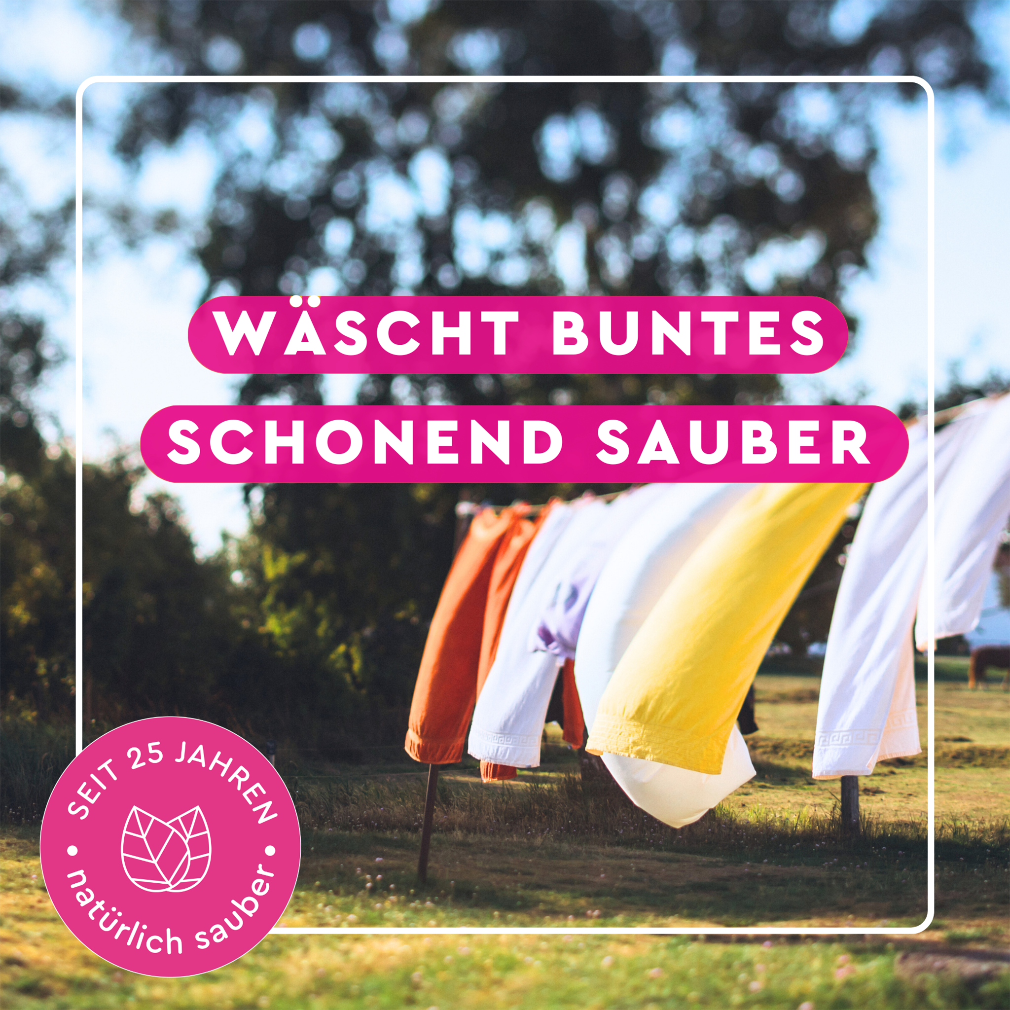 Wehende Wäsche an der Wäscheleine im Rahmen und Schrift auf pinkem Balken
