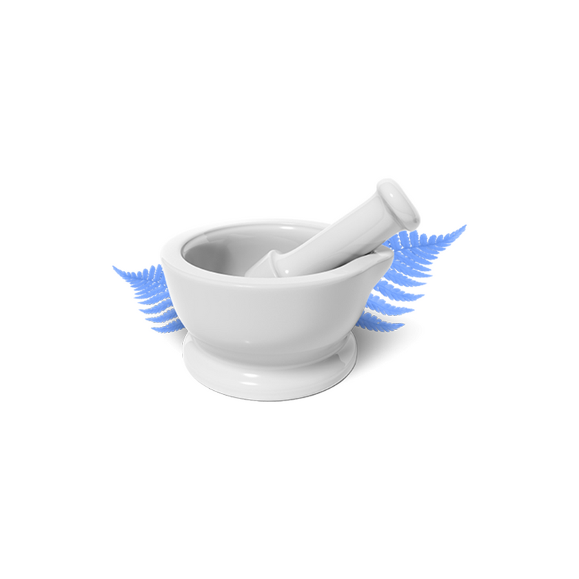 Weisser Mörser mit Farn im Hintergrund