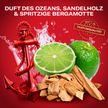 Limette, Sandelholz und roter Anker auf rotem Hintergrund und Schrift