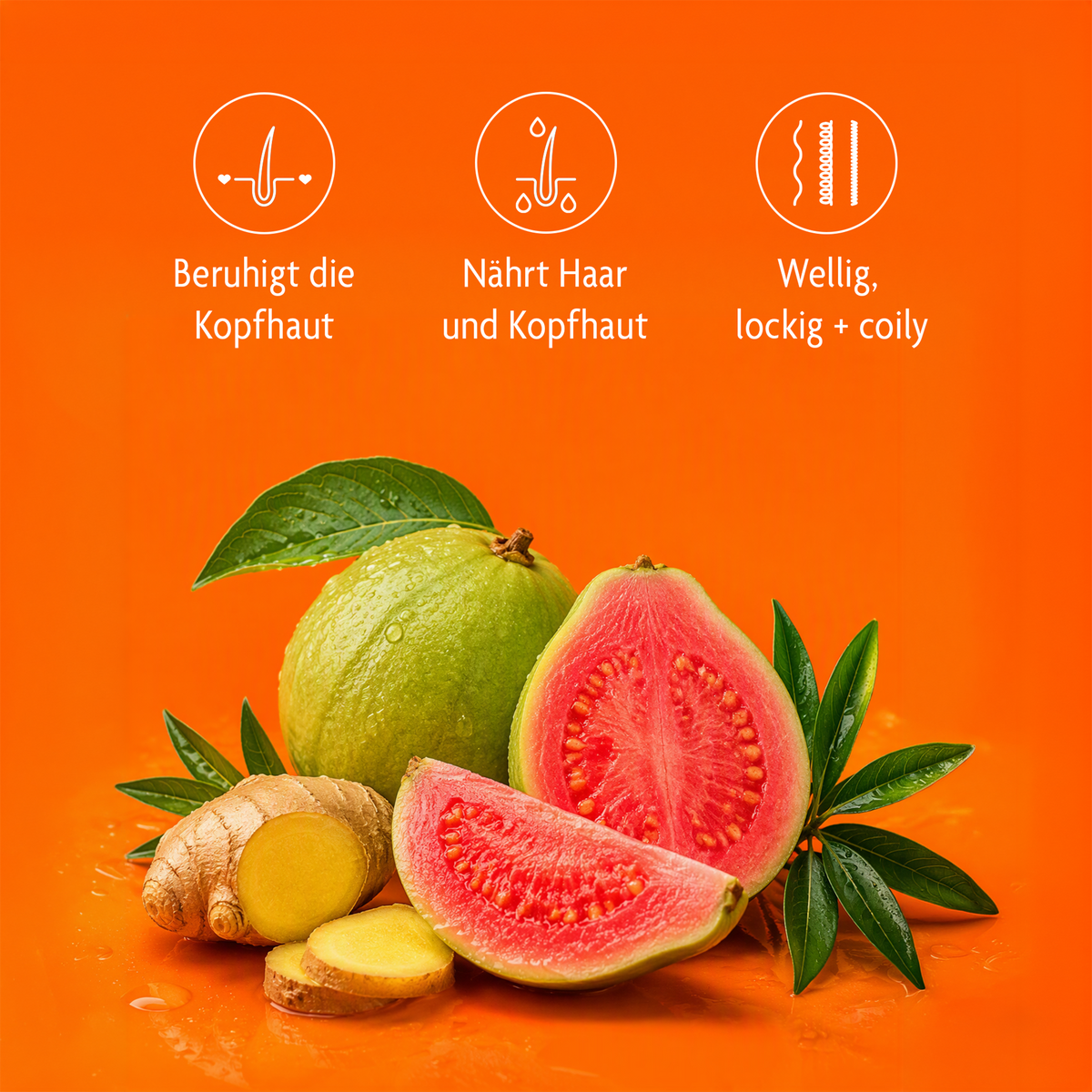 Inhaltsstoffe von Cantu Guave Kopfhautpflege Conditioner - 400ml und Schrift und Icons auf orangfarbenem Grund