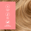 Haare im Hintergrund, lachsfarbene Fläche, Icons und Schrift im Vordergrund
