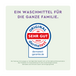 Siegel und Schrift auf mintfarbenem Grund