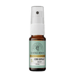 Vorderseite von Hanfama CBD-Spray 5%, Mint
