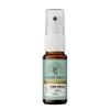Vorderseite von Hanfama CBD-Spray 5%, Mint