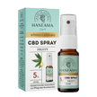 Umverpackung und Spray von Hanfama CBD-Spray 5%, Fruity
