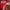 Old Spice 3in1 Shower Gel Captain XL - 400ml