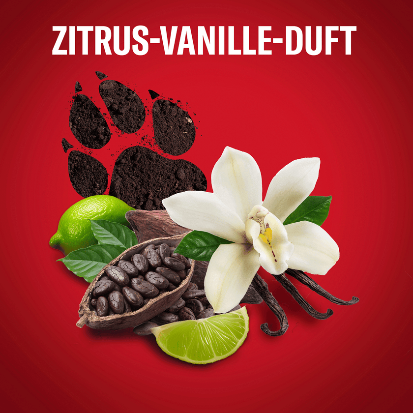 Schwarzer Hundepfotenabdruck hinter Limette, Vanilleschote und Kakaobohne auf rotem Hintergrund