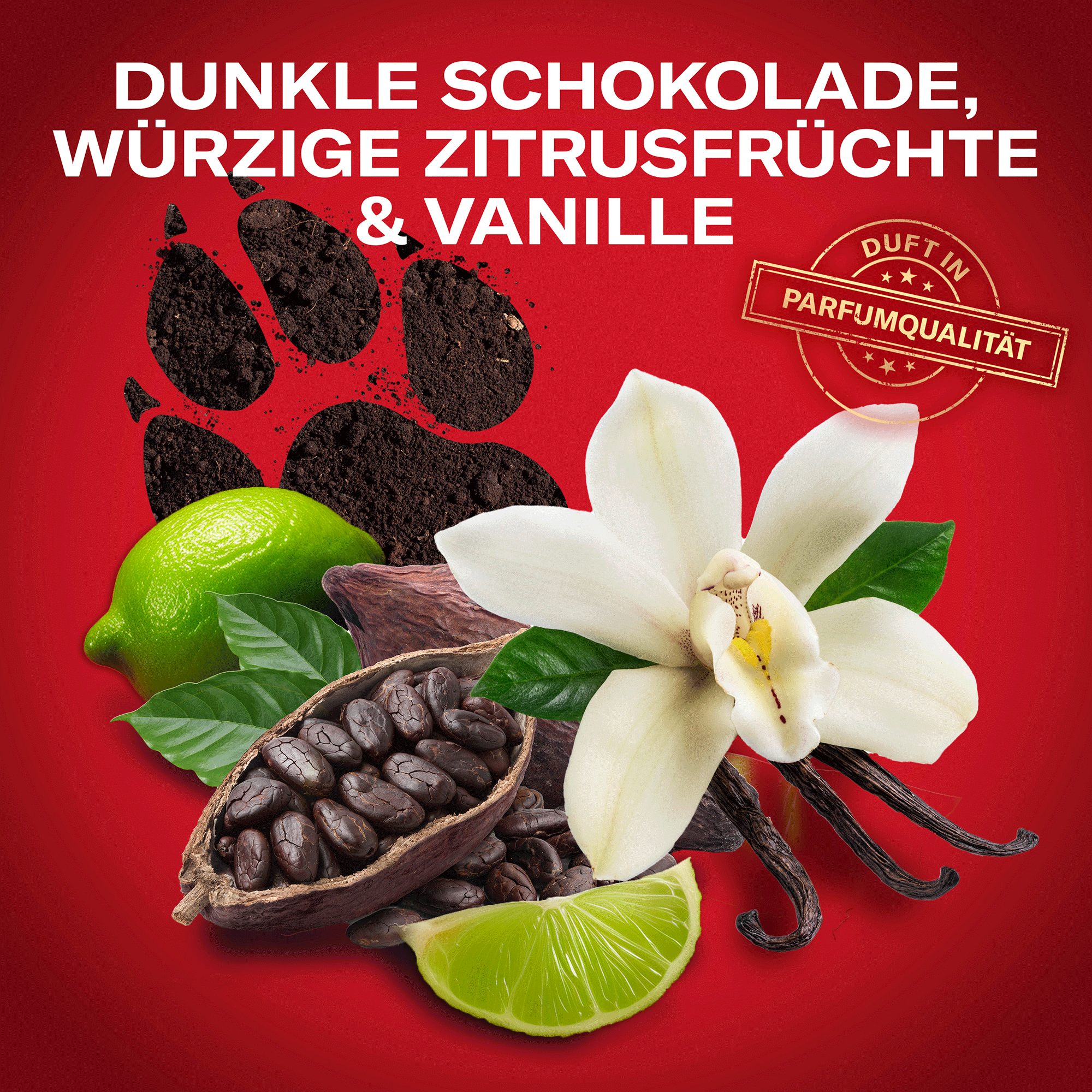 Limette, Vanilleblüte, Kakaobohne auf rotem Hintergrund
