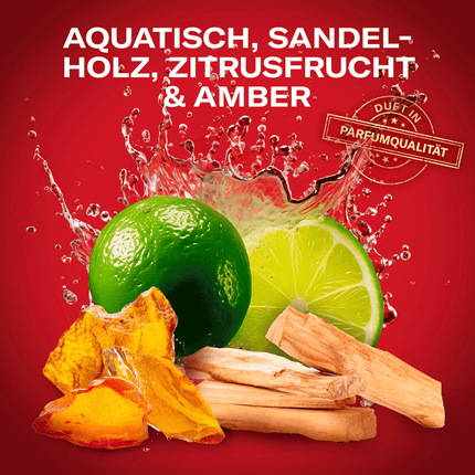 Limette auf Stäben mit Wasserspritzern